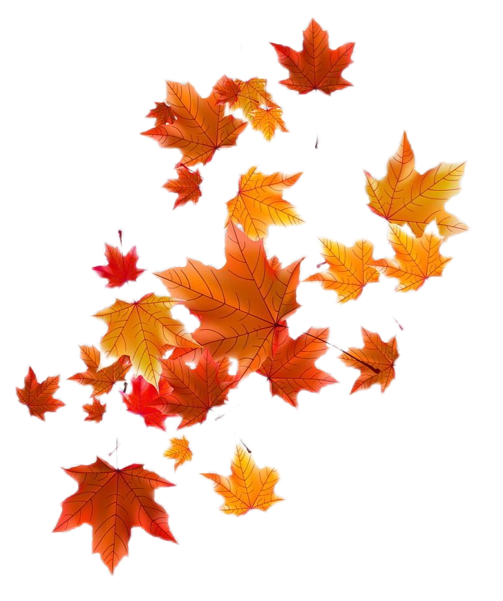 autumn